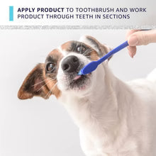 Hydra Groomers Dental Paste
