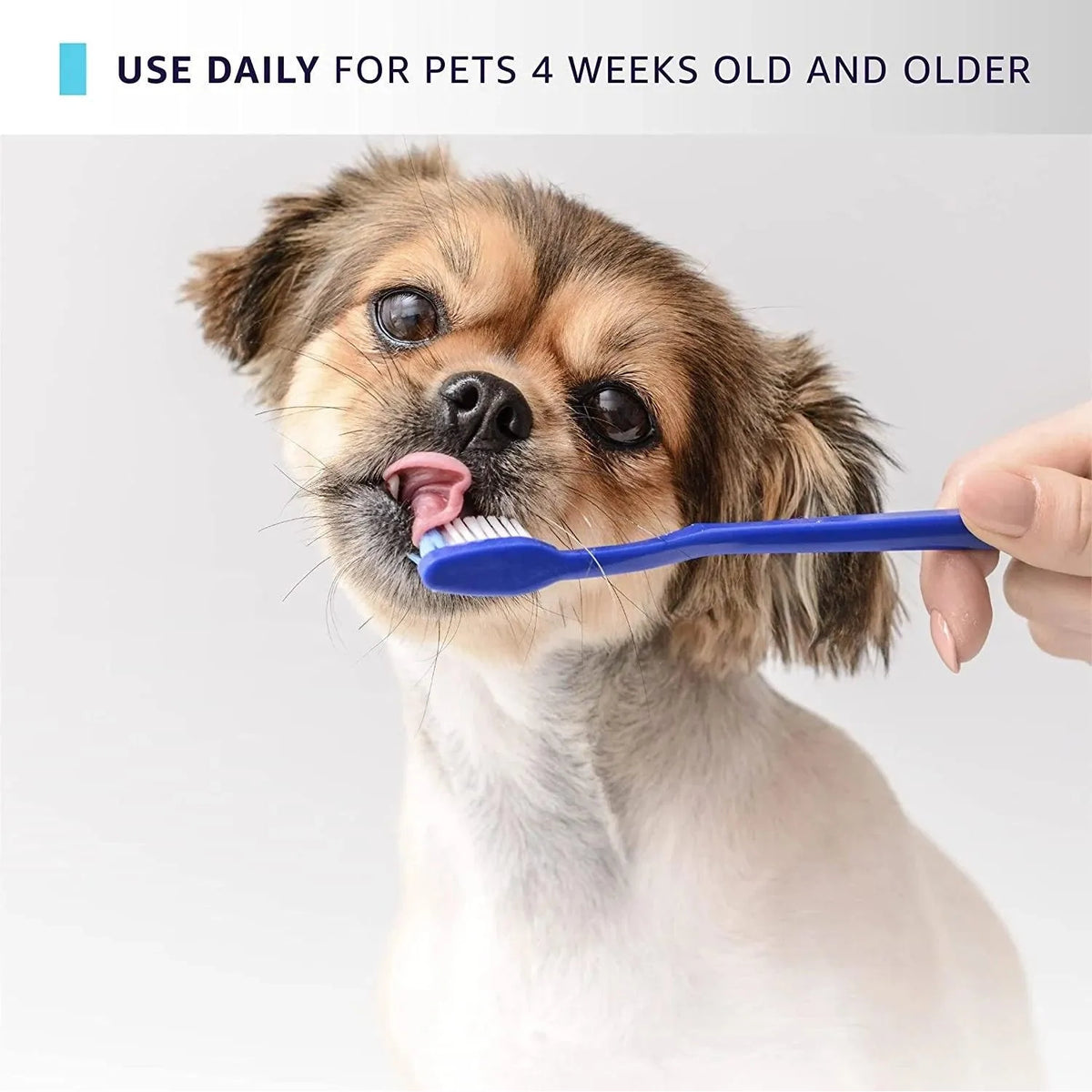 Hydra Groomers Dental Paste