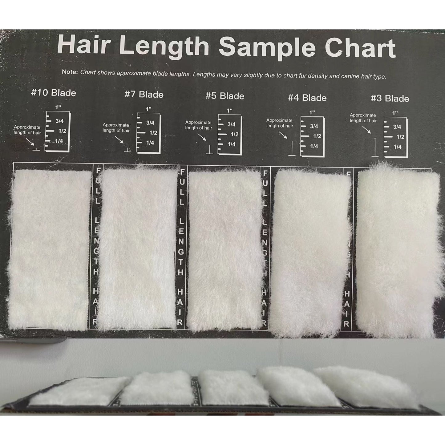 Aeolus Hair Length Sample / Clip Chart