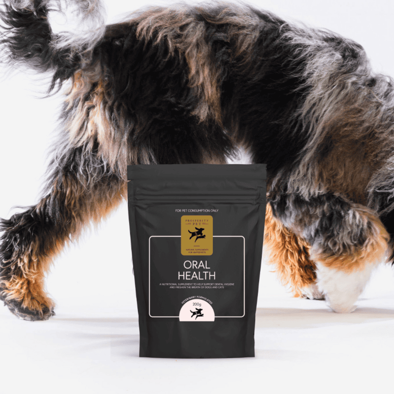 Prosperity Pet Oral Health 200g