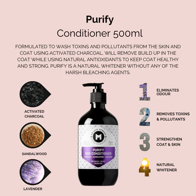 Melanie Newman Purify Conditioner