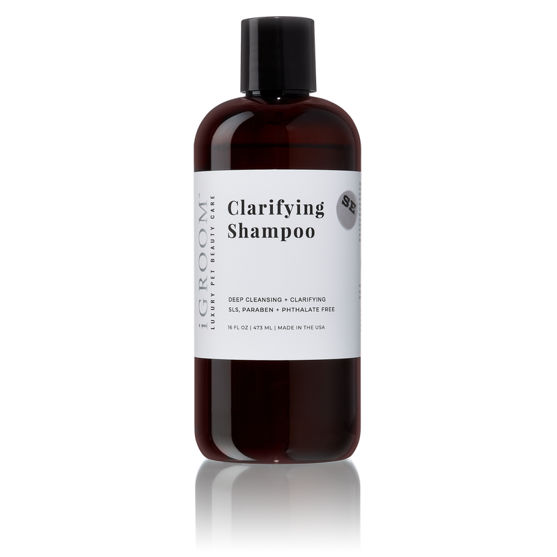 iGroom Clarifying Shampoo, a reset wash for a dog coat carrying product build-up