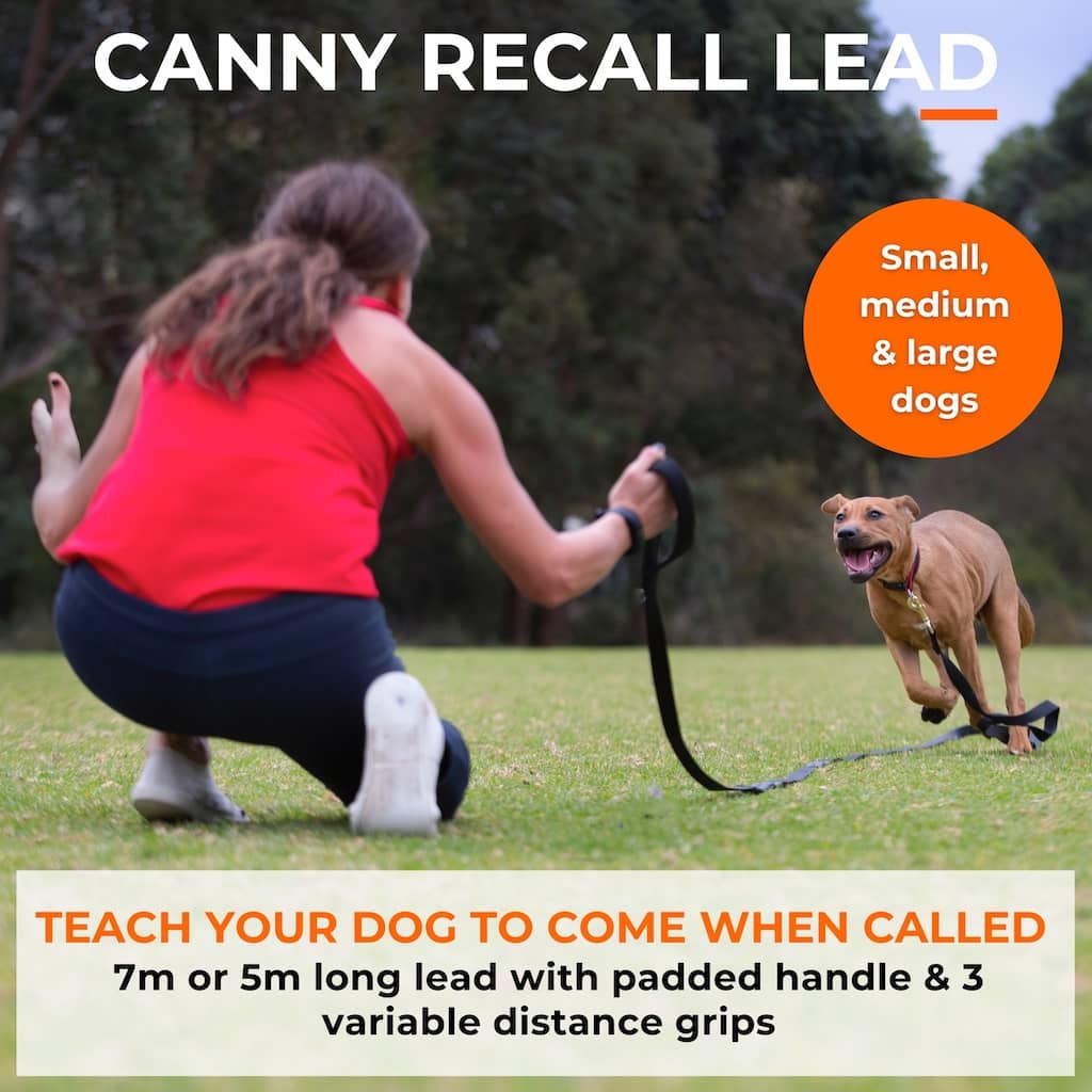 Canny Recall Lead