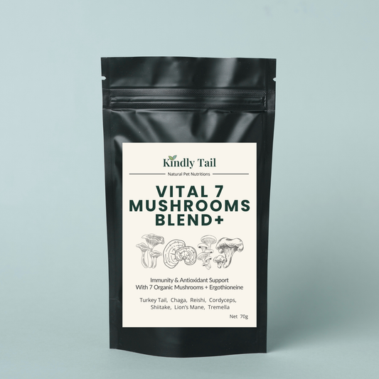 Kindly Tail 7 mushroom blend immune support powder for dogs