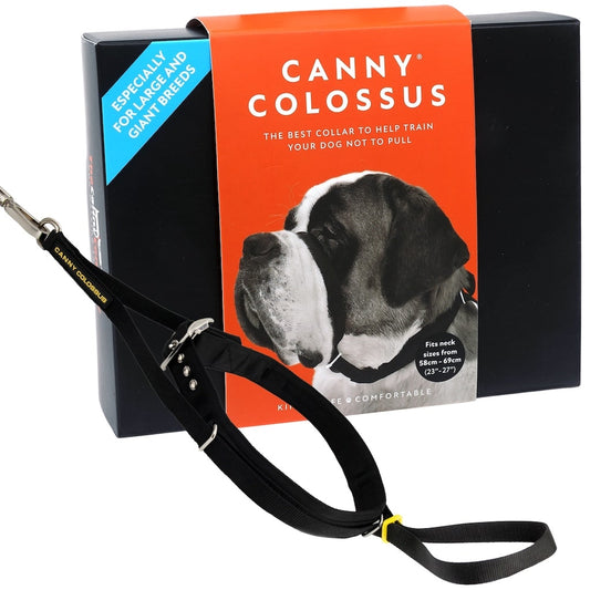Canny Colossus No-Pull Collar