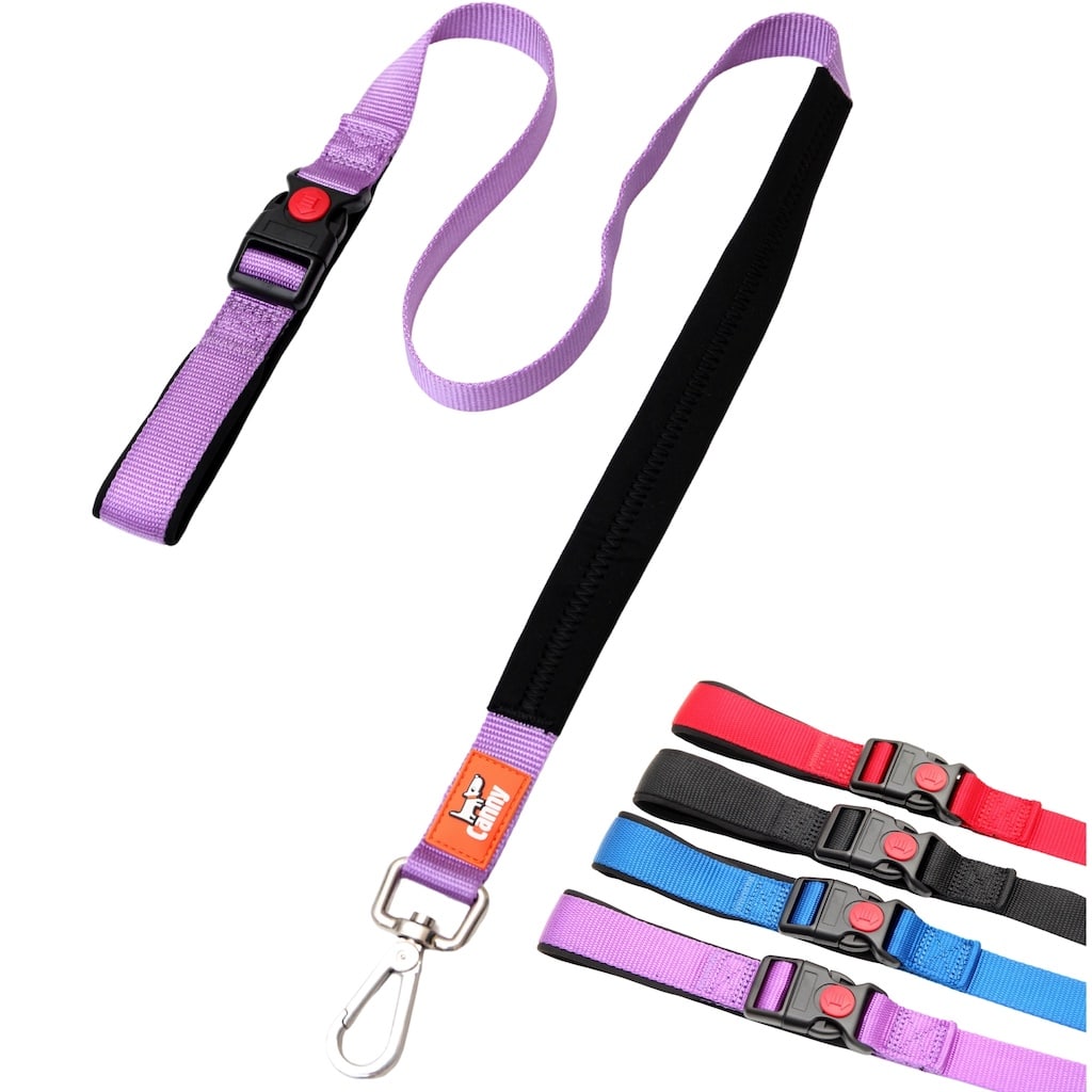Canny CONNECT Lead