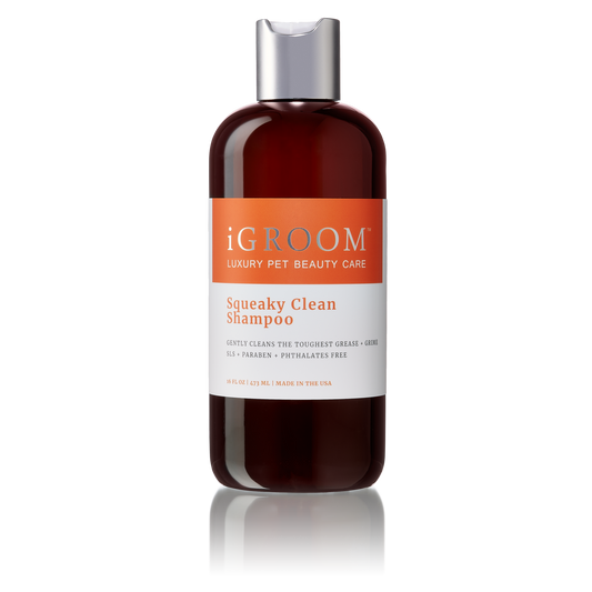 iGroom Squeaky Clean Shampoo
