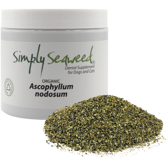 Simply Seaweed Dental Supplement for Dogs