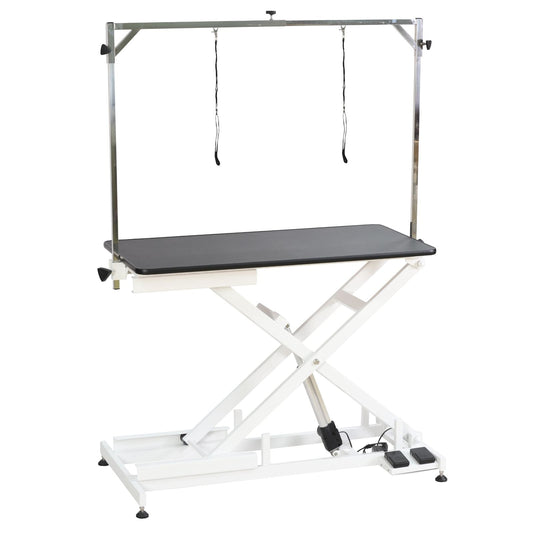 Aeolus Low-Low Electric Lifting Table Eco Version