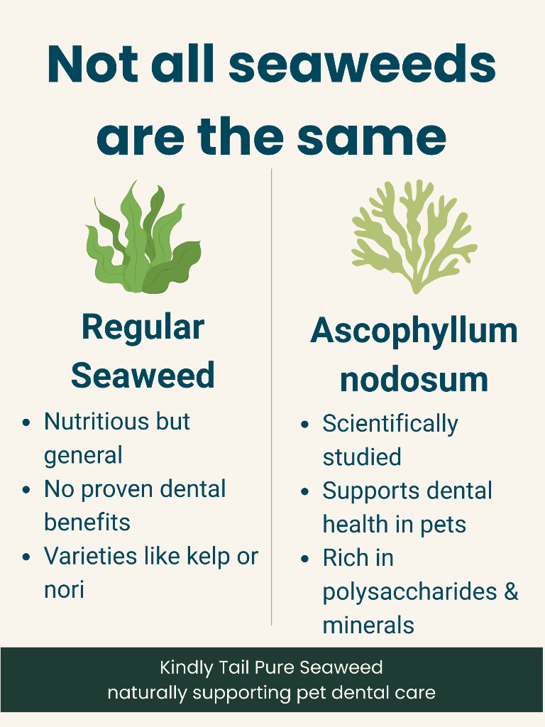 Ascophyllum nodosum compared with generic seaweed for dog dental care