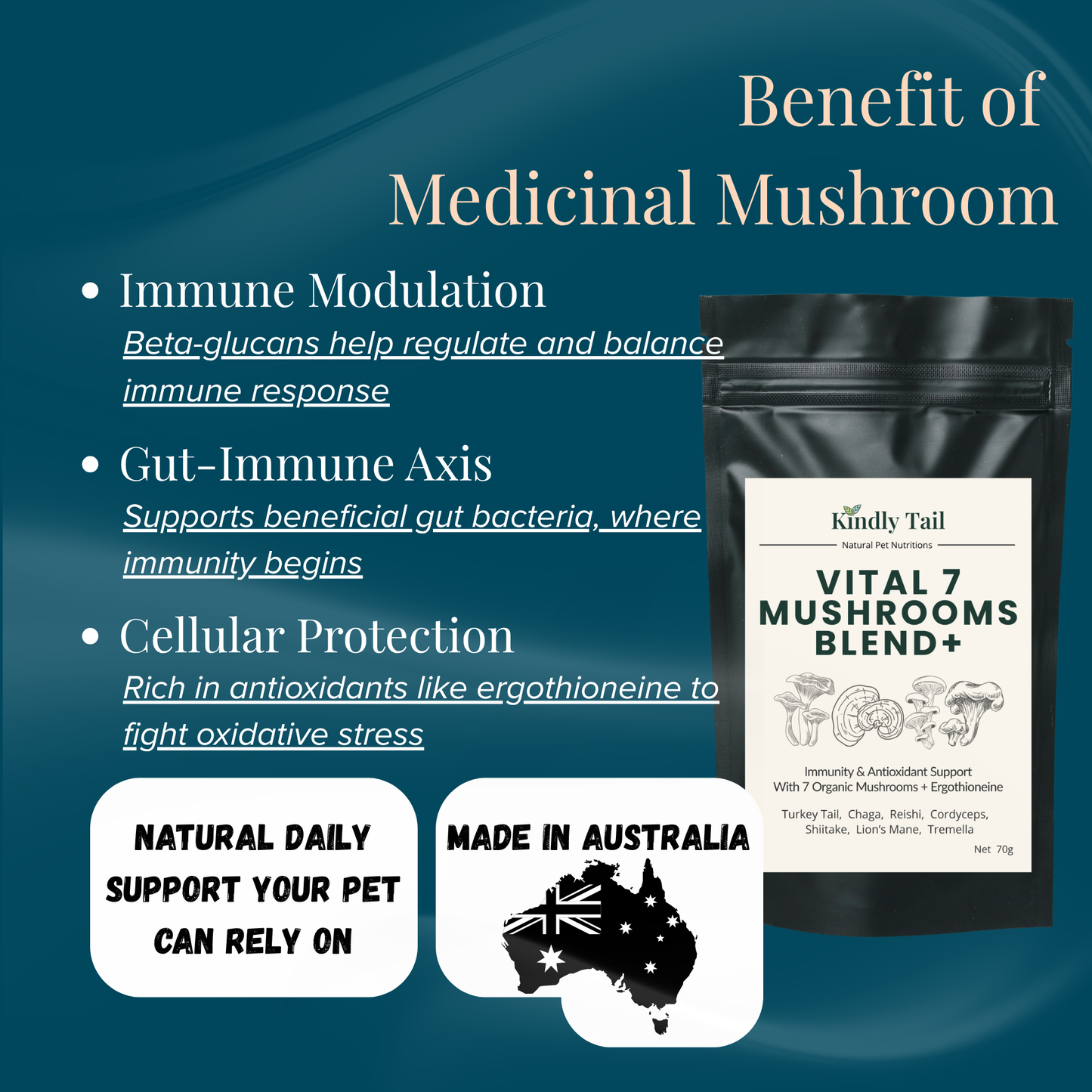 How mushrooms support a dog's immune system