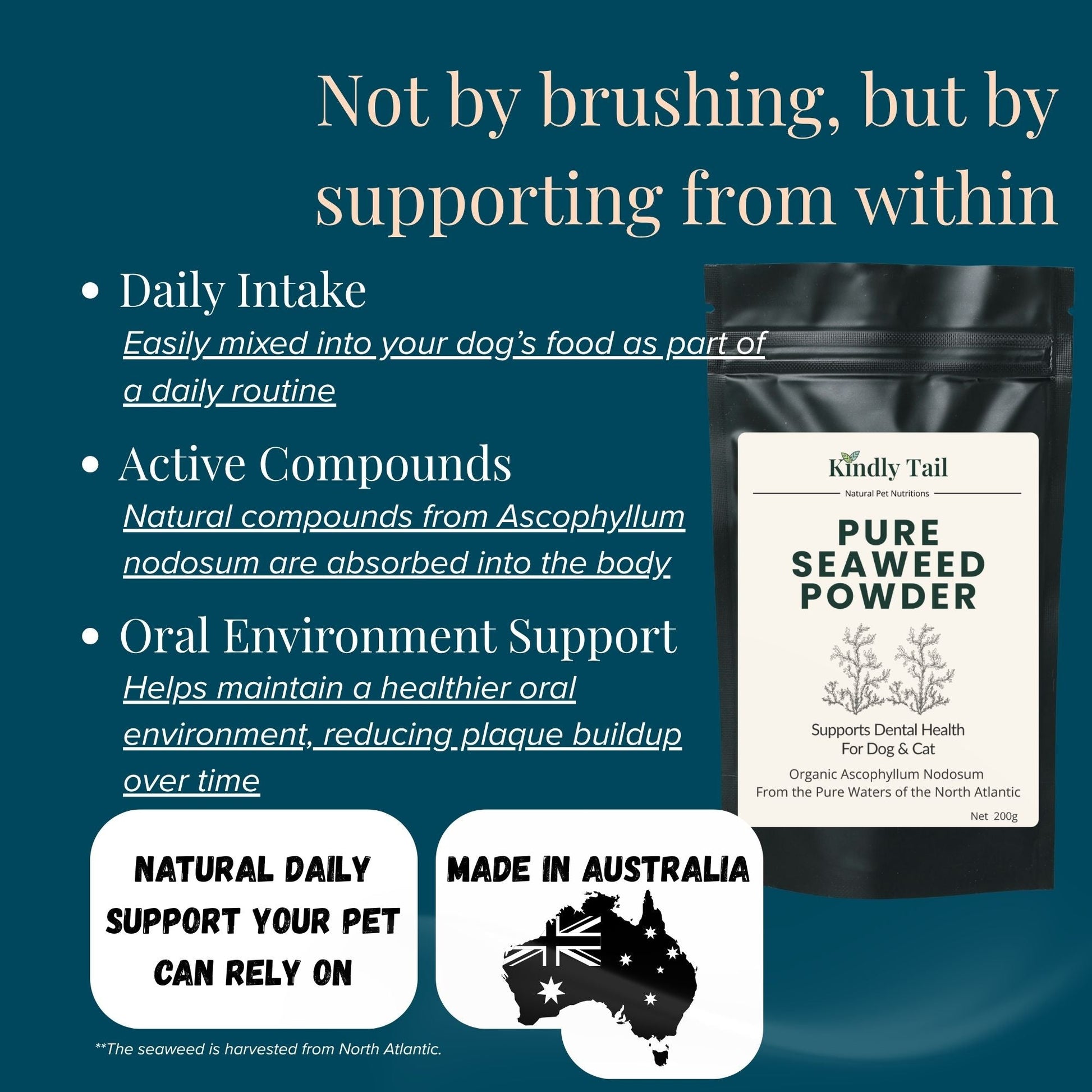 How seaweed dental powder works for dogs