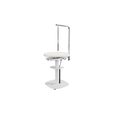 Jirpet Radiant 360 - Electric Illuminated Grooming Table