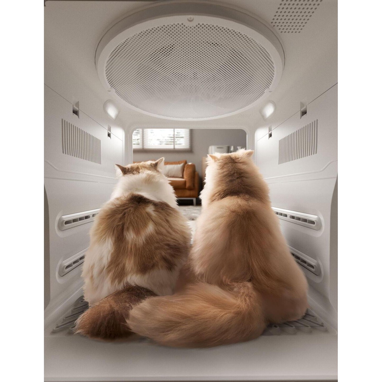 Jirpet F1s Cabin Dryer - Cabin Dryer