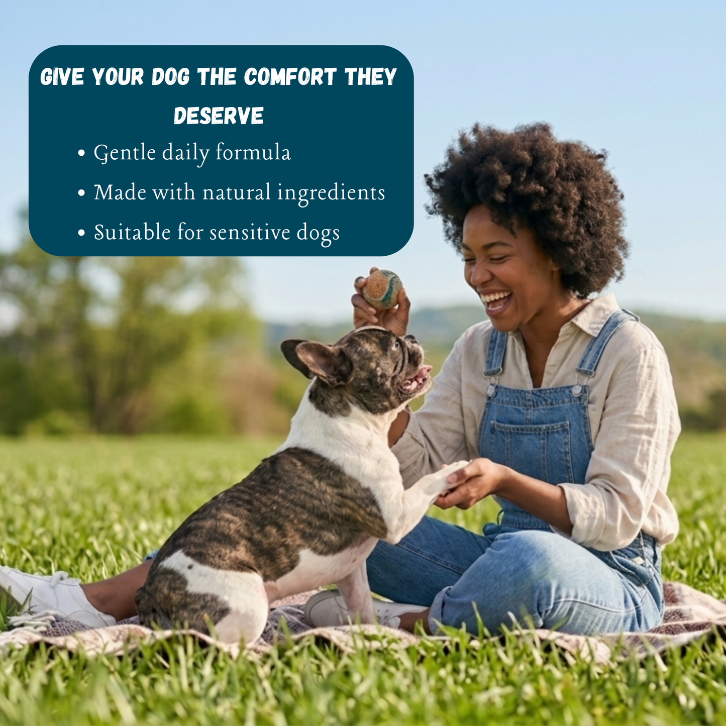Natural quercetin for dogs, formulated for daily use