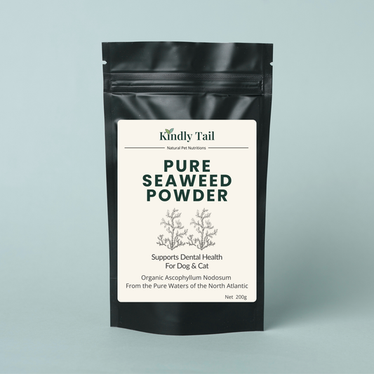 Kindly Tail seaweed dental powder for dogs, for plaque and tartar support